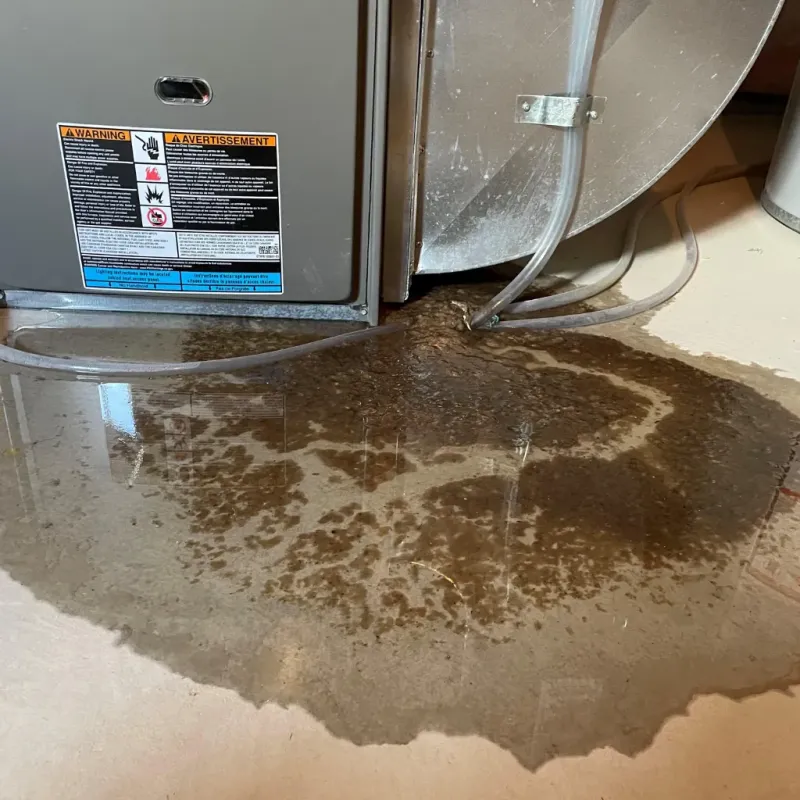 Appliance Leak Cleanup in Ball Ground, GA